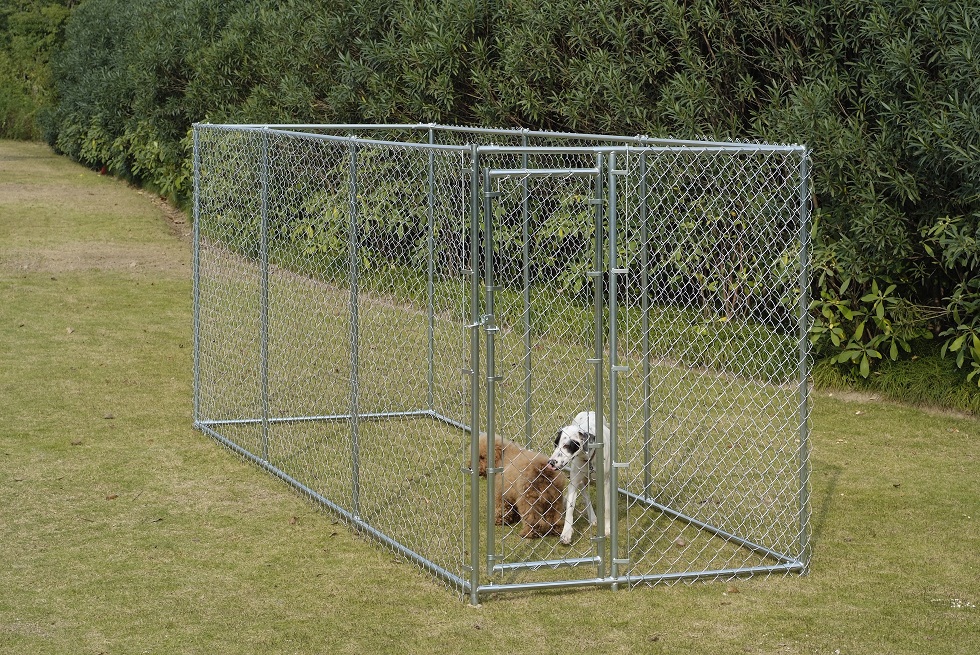 Chain Link Wire Dog Kennels