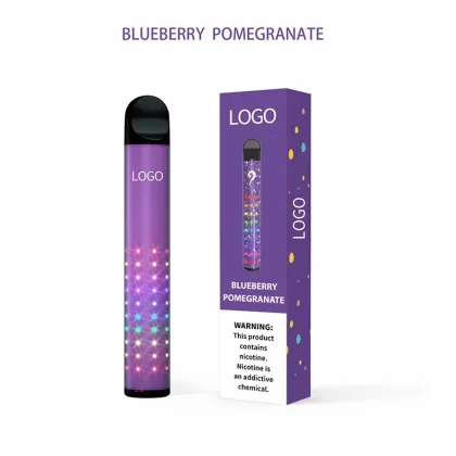 High Quality 800puffs Disposable Vape Pen for OEM/ODM