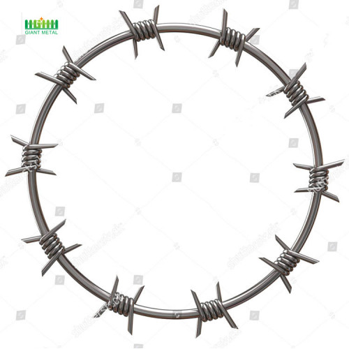 High-tensile Wire Barbed Wire for Apartment House