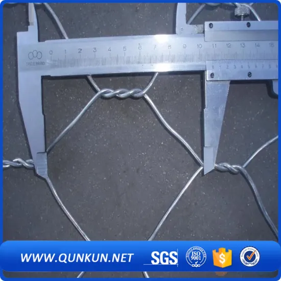 Hexagonal Wire Mesh Cage