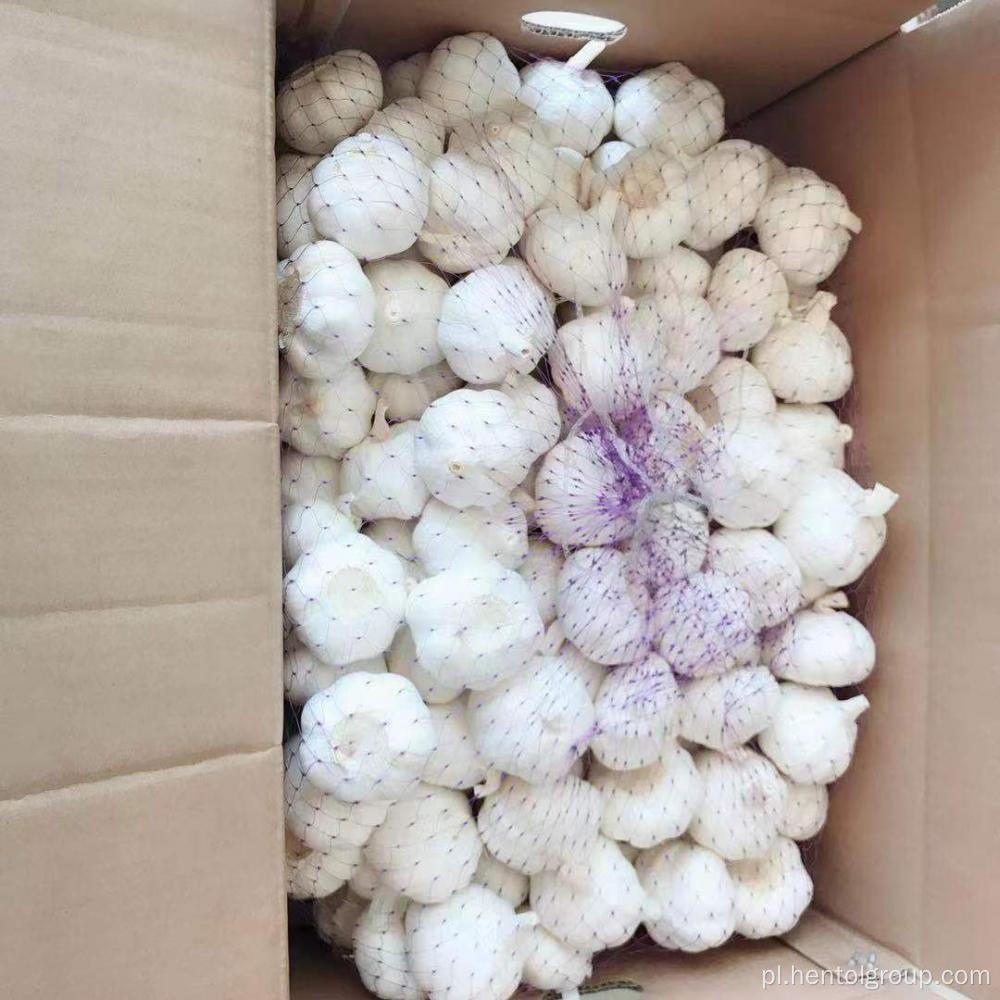 Shandong Fresh White Ofred Garlic