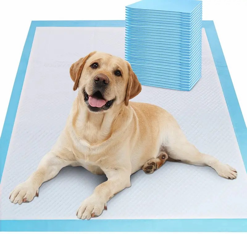 Wholesaler Pet Training Pads