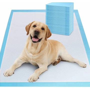 Wholesaler Pet Training Pads