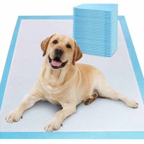 Wholesaler Pet Training Pads