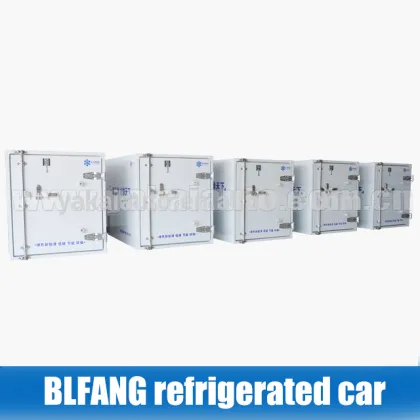 electrical reefer piaggio ape/ tuk-tuk/ tricycle for vegetable transportation