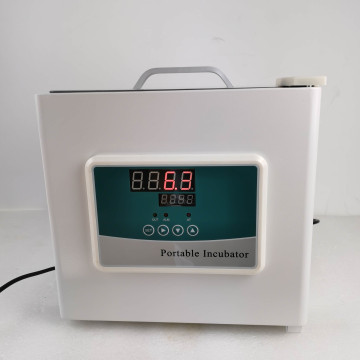 Portable 7L Mini Digital Laboratory Incubator - Affordable Prices