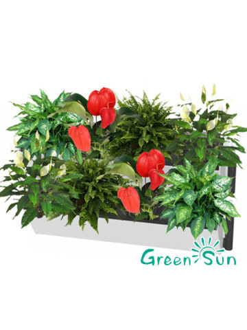 Garden living wall planter, Set green vertical living wall