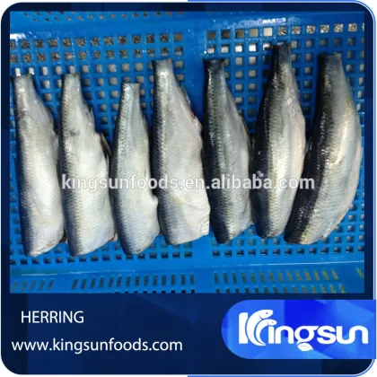 H-G Frozen Seafood Pacific Herring