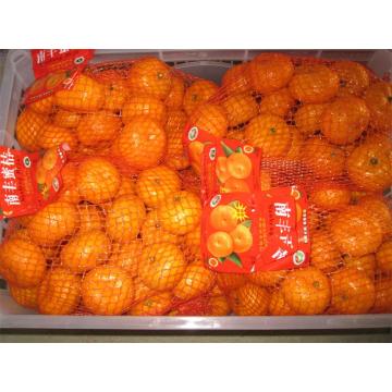 Saftiger süßer frischer Baby Mandarine Nanfeng