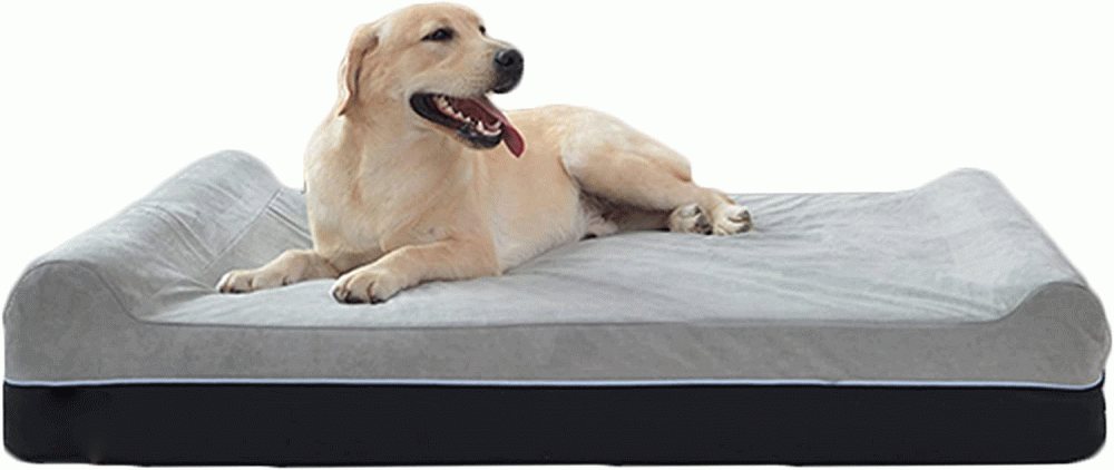 Ciaosleep Memory Foam extra großes Hundebettkissen Kissen