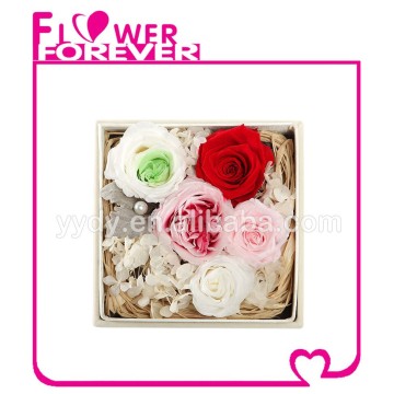 New Gift Idea Real Preserved Roses