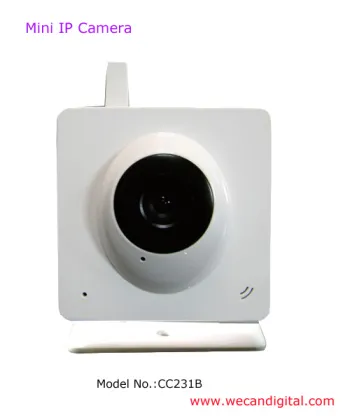 Mini IP Camera