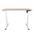 Computer Electric Height Adjustable Desk