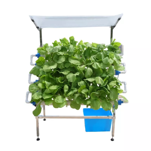 Planta NFT DIY Hydroponic System de crecimiento hidropónico