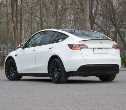 Hot Sale Electric Vehicle - Tesla Model Y