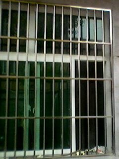 Window guard mesh