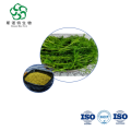 Premium Fennel Extract Bulk 10:1 for Digestive & Women's Wellness