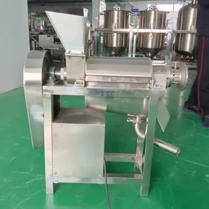 1 KW Commercial Cashew Juice Extractor: Cold Pressed Carrot Aloe Vera Juice Making Machine