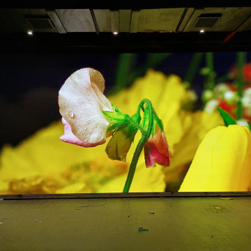 Schermo cinematografico da parete micro 4K con pannelli a LED GOB P1.6 - INDUTER