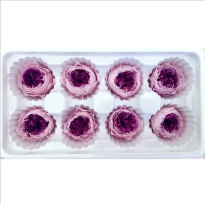 Chinese Preserved Peony Flowers