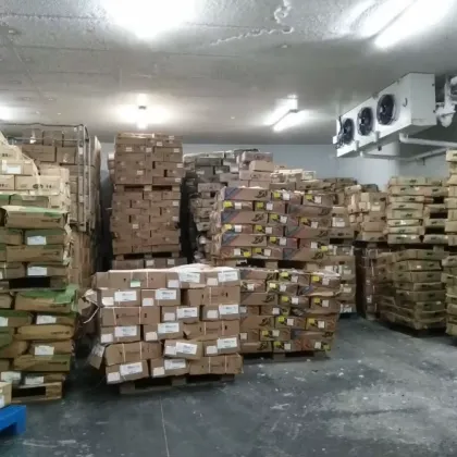 Large Logistics Cold Storage for Vegetable Cold Chain Warehouse