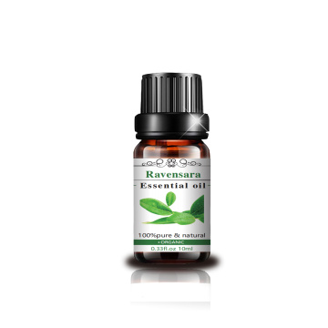 10 ml Ravensara Huile essentielle d&#39;huile de nature aromathérapie de qualité supérieure Nature Ravensara Huile