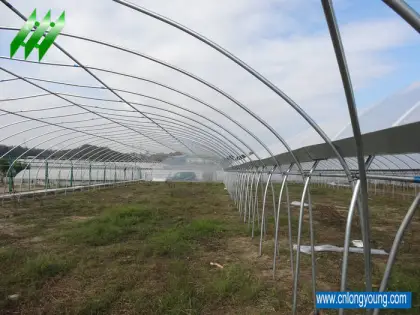 Tunnel-Connected Greenhouse
