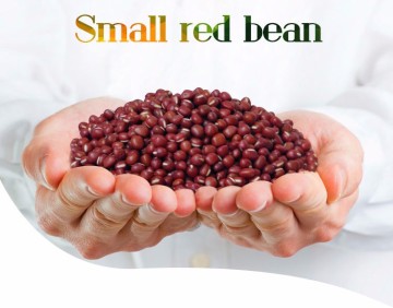 red beans Packaging for sale