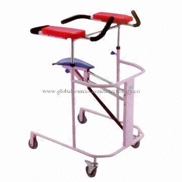 Training walker with aid standing function