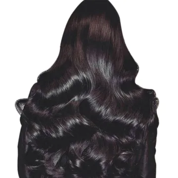 Wholesale Brazilian 100% Human Swiss HD Transparent brown Lace Front Glueless Raw Virgin Hair Wigs for Black Women