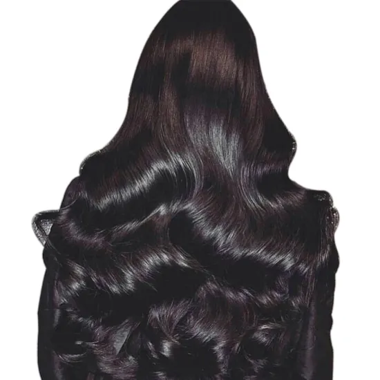 Wholesale Brazilian 100% Human Swiss HD Transparent brown Lace Front Glueless Raw Virgin Hair Wigs for Black Women