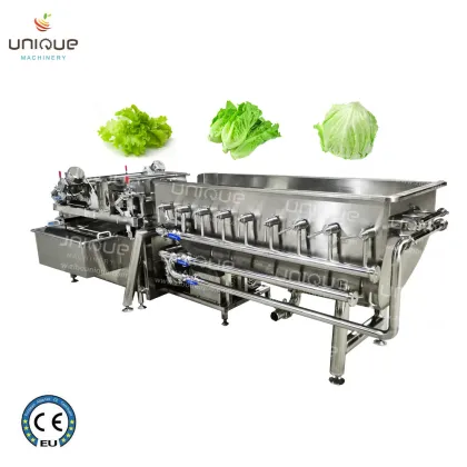 Fresh Cut Salad Vegetable Washing Machine