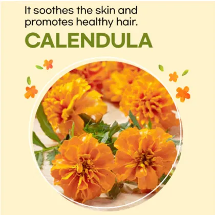 Private Label Organic Calendula Baby Shampoo and Body Wash Manufacturer