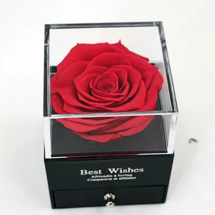 Acrylic Box Preserved Flowers - Eternal Blooms Encased