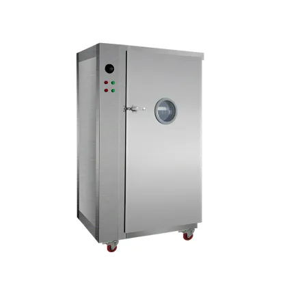 S Door Hot Air Circulation Thermal Disinfection