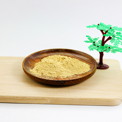 Dehydrated Ginger Powder Edible Ginger Powder