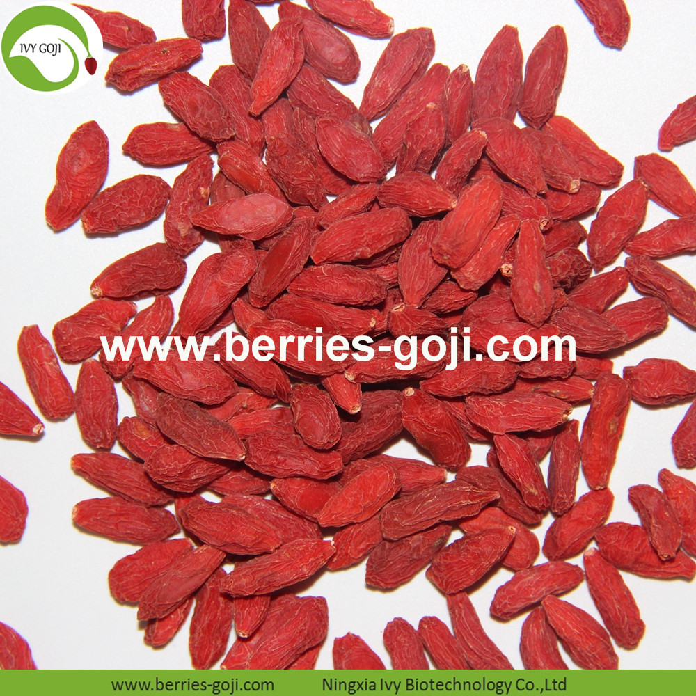 Goji berry