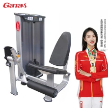 China Equipo de fitness profesional silla romana Fabricantes