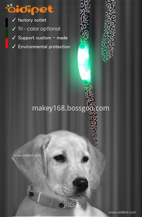 Nylon Webbing Led Dog Leash