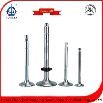 Marine BERGEN Engine Intake Exhaust Valve