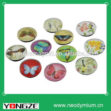 Round dome fridge magnet