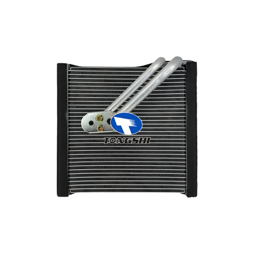 3C1820103D Car AC Evaporator for Volkswagen CC 2009-2013/Eos 2007-2017/Magotan/Passat 2005-2014