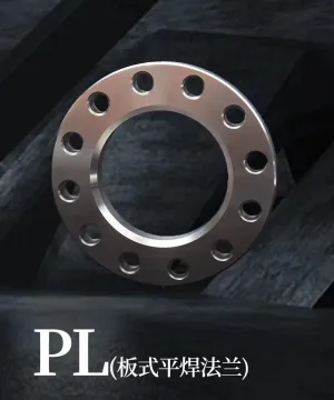 ASME B16.5 Stainless Steel Butt Welded Plate Flange