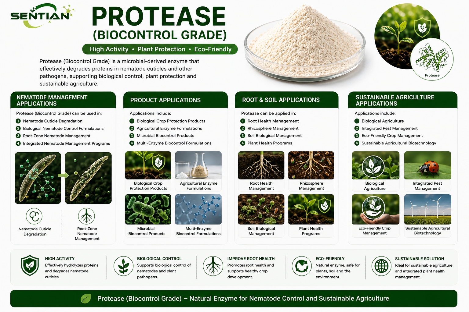 Protease (Biocontrol Grade) 2
