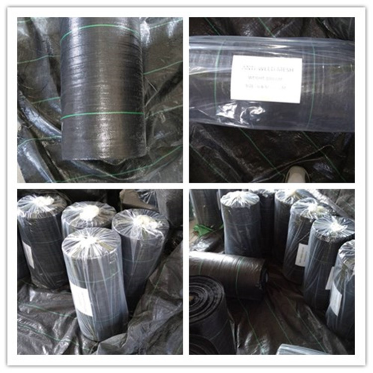 Weed Control Mesh