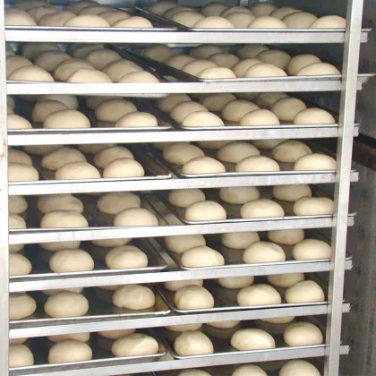 Double Doors High Capacity Bread Cake Proofer Fermentation Room