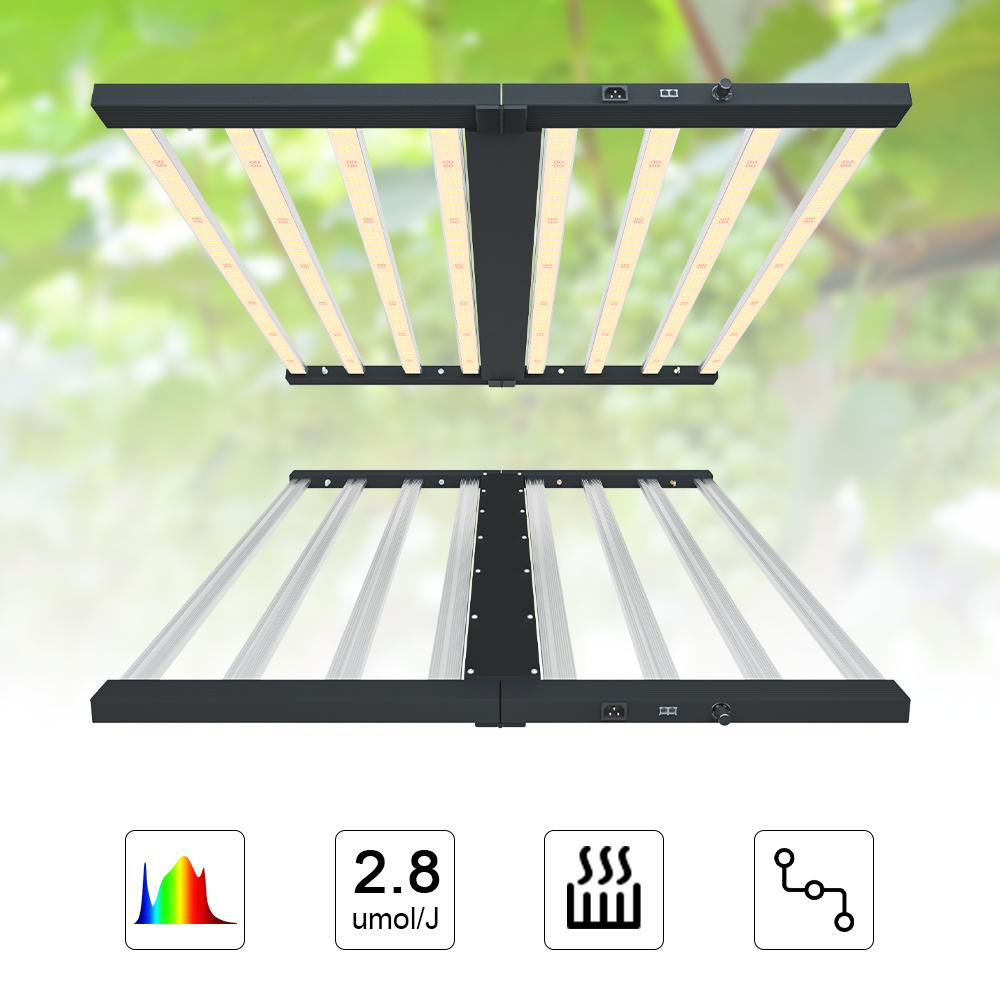 Best Light For 4X4 Grow Tent