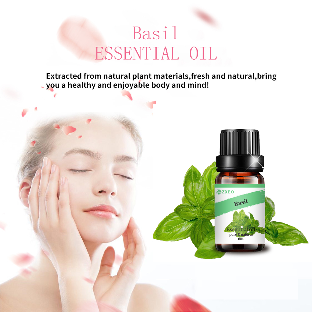 100% Natural Pure Basil Oil For Aromatherapy Use Private Label Pure Organic Hair care Essential oil