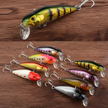 Catfish Luya Bait - Floating Minnow Hard Lure for Beach Fishing