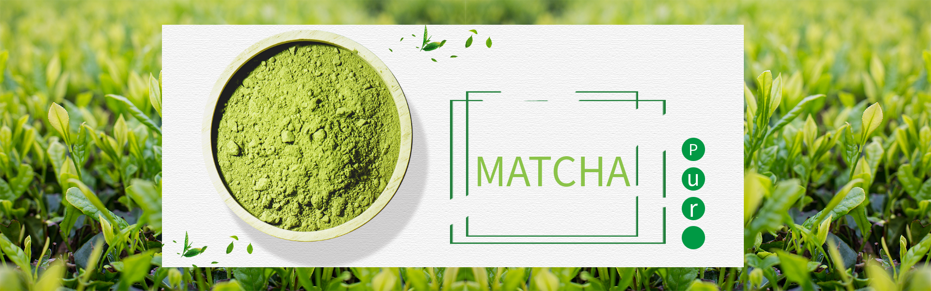 Ceremonial Organic Good Quality Matcha Powder